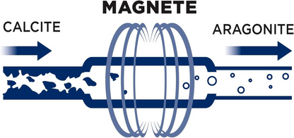 Filtro Anticalcare per Lavatrice/Lavastoviglie Magnetico Neodimio Attacco 3/4"