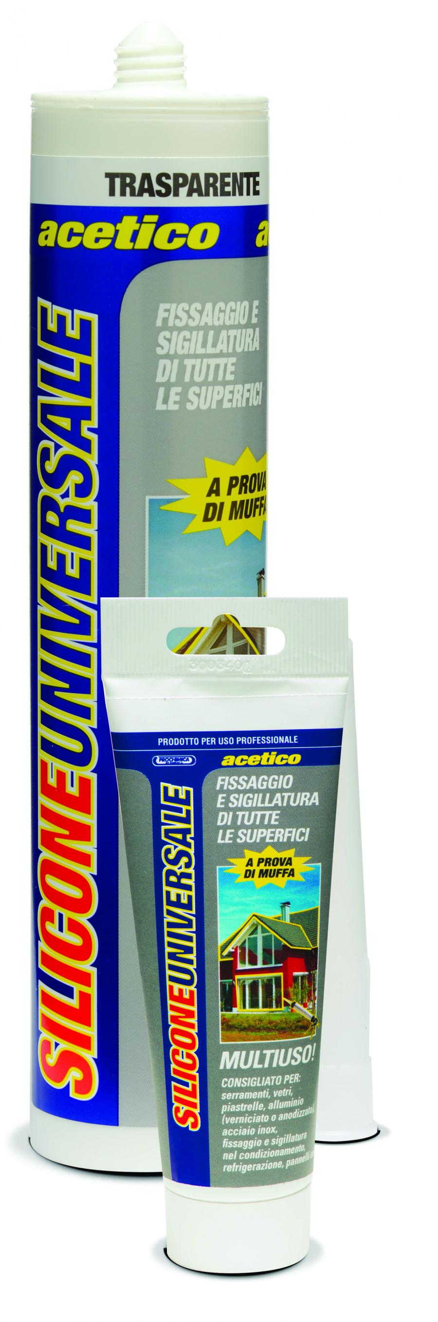 Silicone Trasparente Multiuso Prochimica